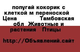 попугай кокорик с клеткой м переноской › Цена ­ 1 000 - Тамбовская обл. Животные и растения » Птицы   